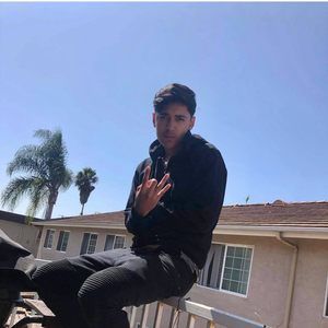 Meet your Posher, Oliver